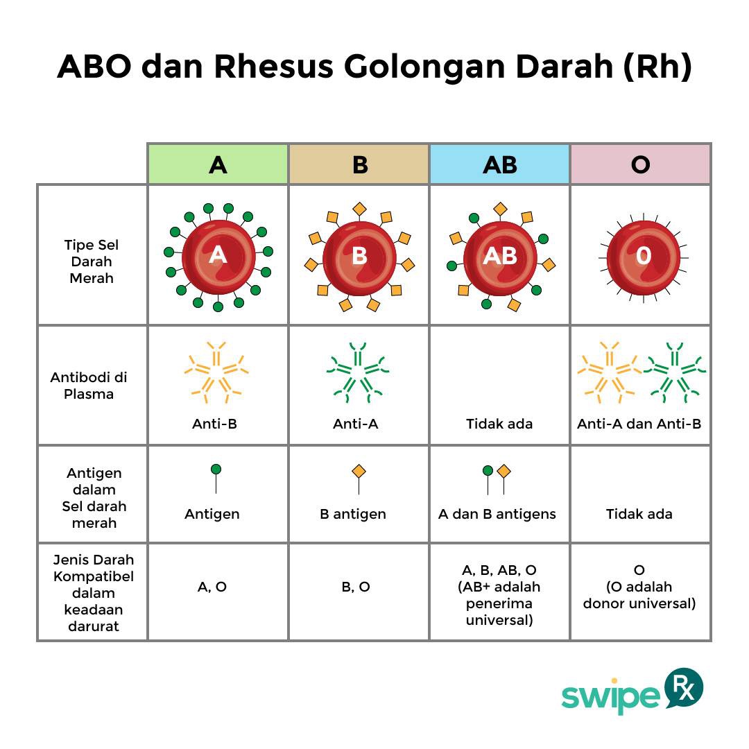 Apa golongan darah yang paling langka? - Quora