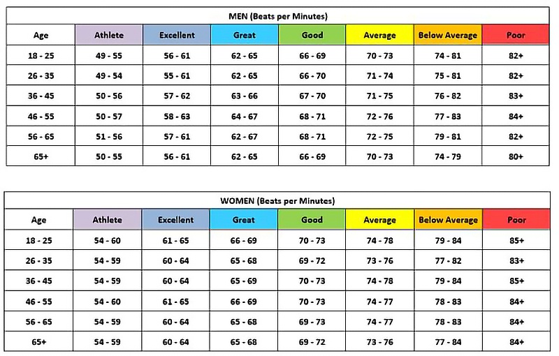Berapa kali jantung manusia akan berdetak dalam hidup seseorang? - Quora