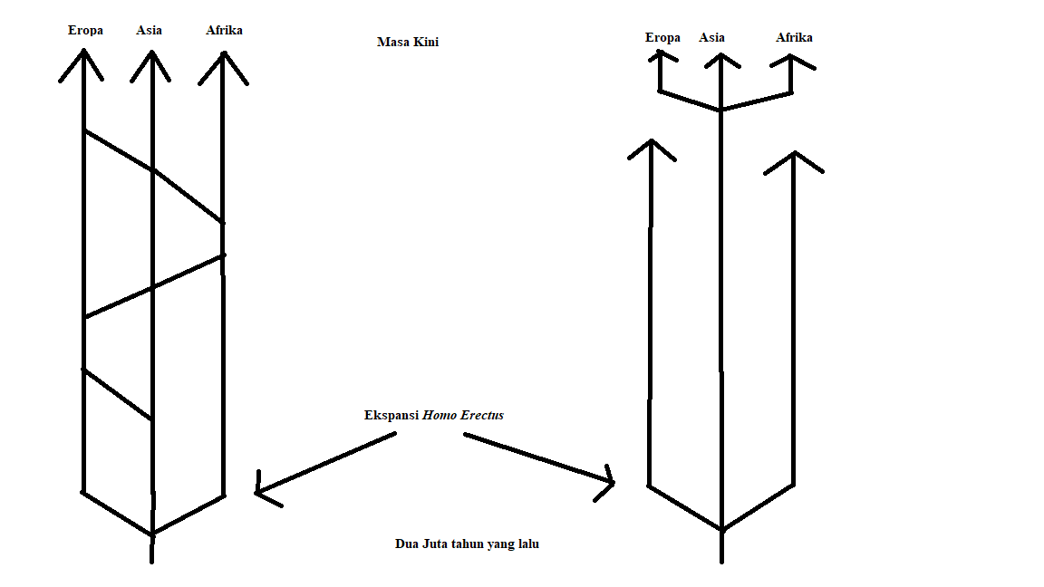 Apakah tidak ditemukannya &lsquo;missing link&rsquo; menjadi argumen terbaik untuk  meragukan teori evolusi darwin? - Quora