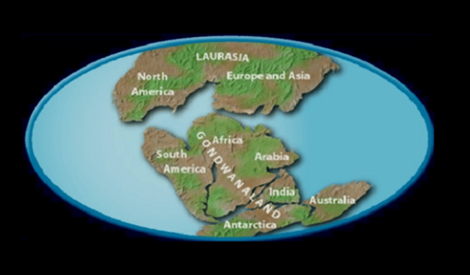 Siapa pemilik asli Lanka? - Quora