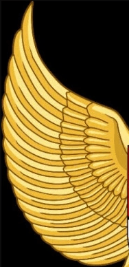 Apa saja simbolisme yang terdapat pada lambang Garuda Pancasila? - Quora