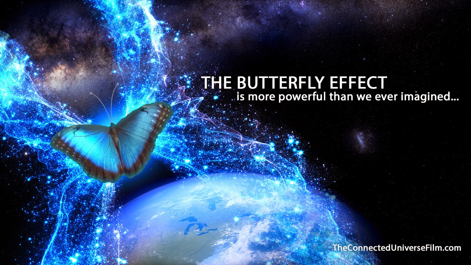 Apakah kamu pernah mengalami efek kupu-kupu (butterfly effect)? - Quora