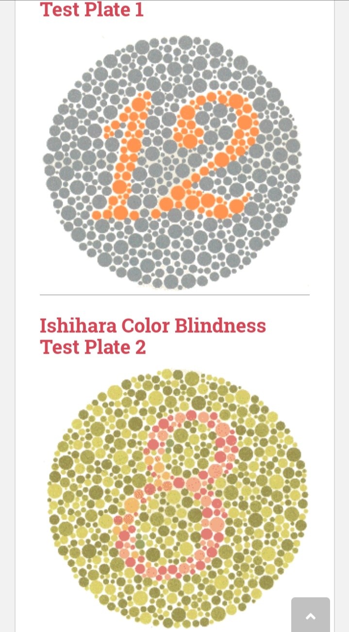 Bisakah kita mengikuti tes mata online untuk buta warna? - Quora