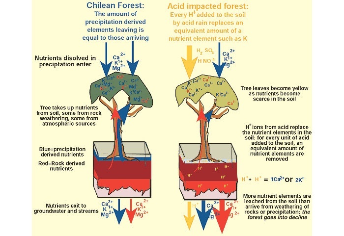 Apa itu hujan asam? - Quora