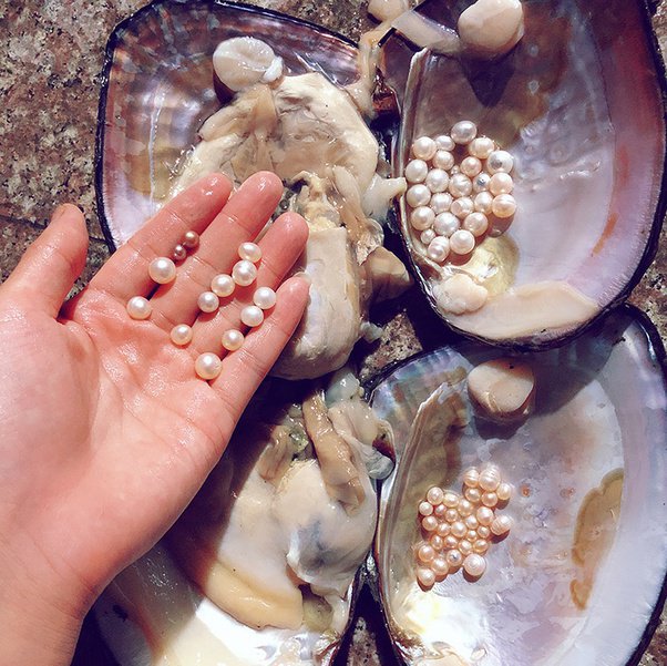 Bagaimana perasaan kalian jika hadiah yang Anda beri tidak dihargai? - Quora