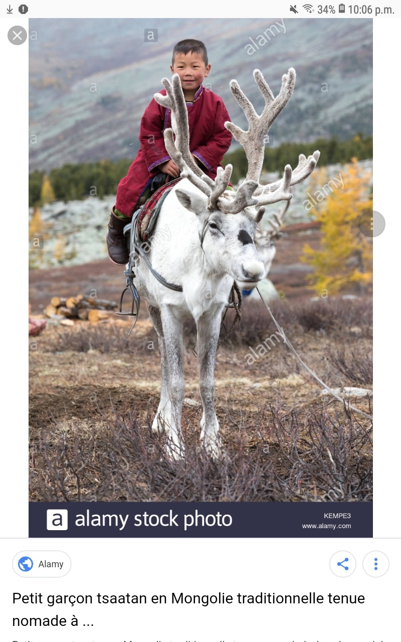 Est-ce qu&rsquo;on peut monter sur un renne ? - Quora