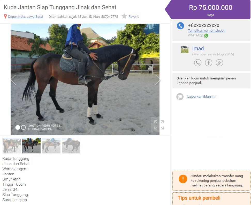 Berapa biaya untuk merawat seekor kuda selama satu tahun? - Quora