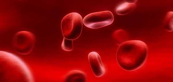 Mengapa darah binatang vertebrata berwarna merah? - Quora