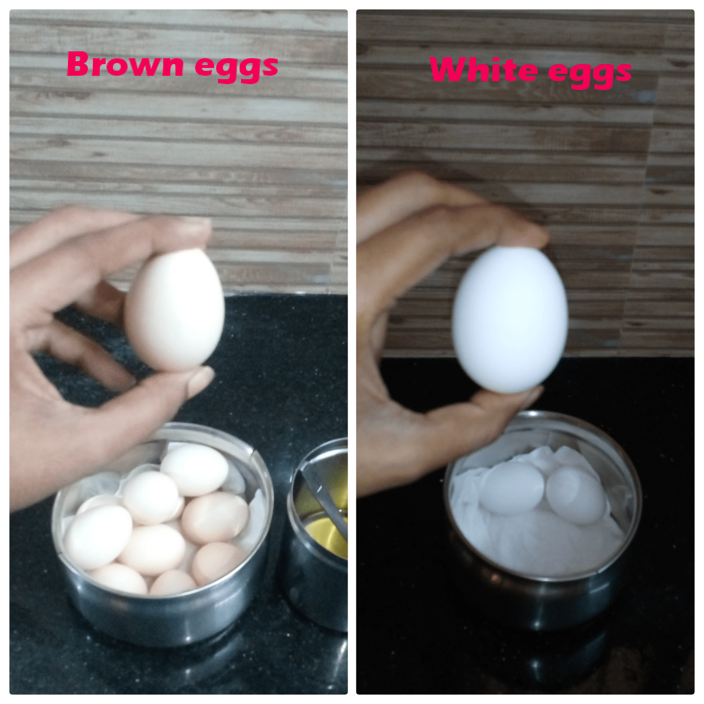 Selain warna cangkang, apa perbedaan telur putih dan cokelat? - Quora