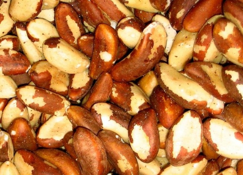 Berapa banyak kacang Brazil meningkatkan testosteron? - Quora