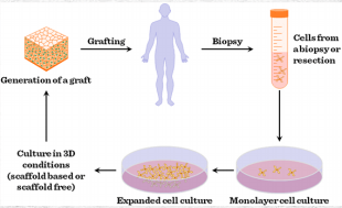 Apa dampak bioteknologi dalam bidang kedokteran? - Quora