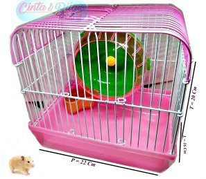 Bagaimana cara merawat hamster yang tepat? Apakah harus ada kandang? - Quora