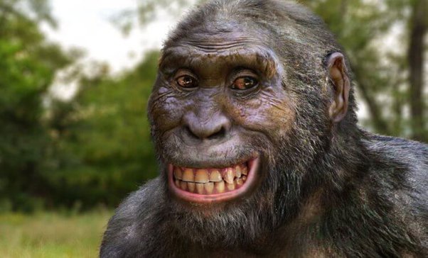 Apakah adrenalin membuat Anda lebih kuat dan bertenaga? - Quora