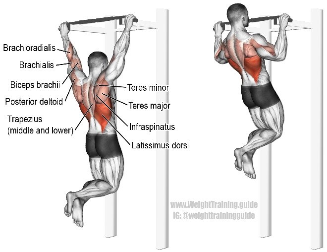Bagaimana cara cepat bisa angkat beban (pull up) dalam seminggu? Saya bisa  push-up berpuluh-puluh namun tidak bisa melakukan angkat beban (pull up). -  Quora