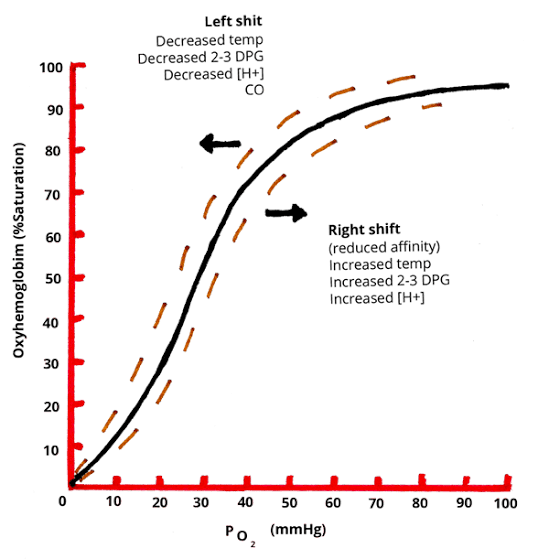 Faktor apa saja yang mempengaruhi pelepasan oksigen dari oksihemoglobin? -  Quora