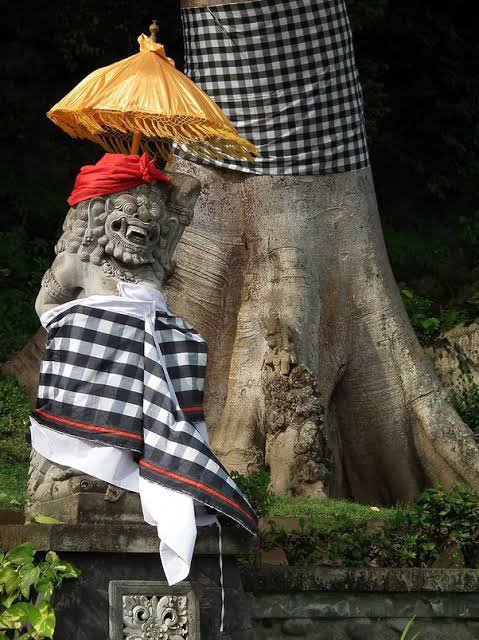 Mengapa Masyarakat Bali Suka Menutupi Batang Pohon Besar Dengan Kain Bermotif Kotak-Kotak Kecil Berwarna Hitam Dan Putih? - Quora 640_X_479_jpg