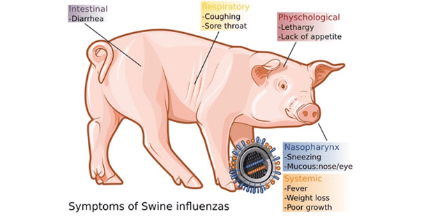 Mengapa manusia harus beragama? - Quora