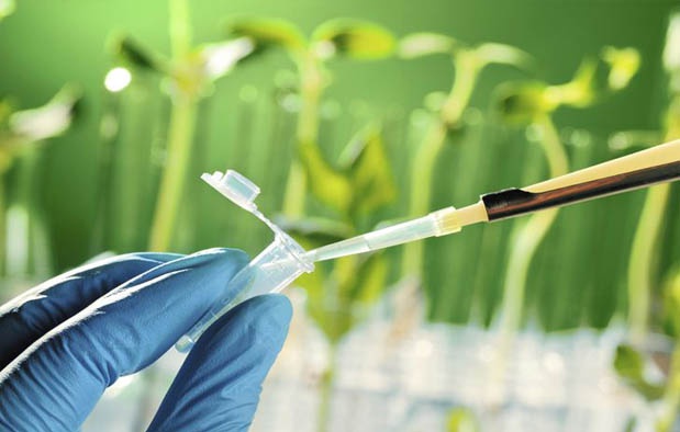 Apa dampak bioteknologi dalam bidang kedokteran? - Quora