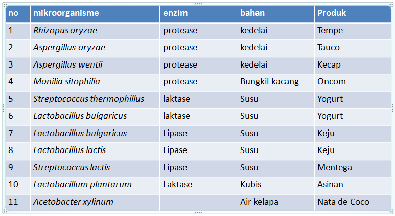 Apa itu bioteknologi konvensional dan cara pembuatannya? - Quora