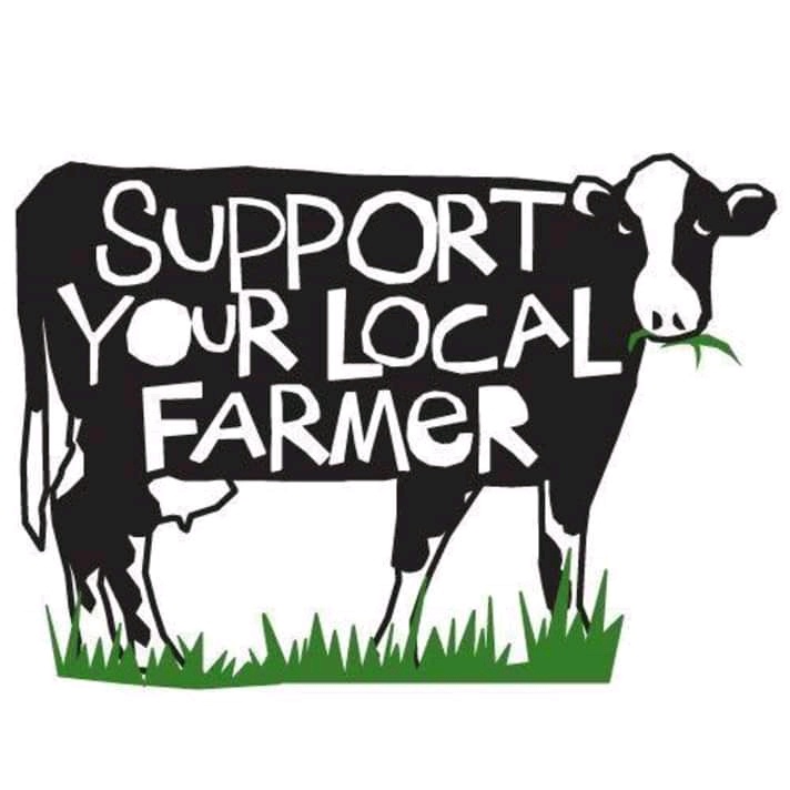 Mengapa industri produk susu lebih memilih susu sapi sebagai bahan dasar  utamanya? Apakah tidak ada alternatif susu dari binatang lain? - Quora