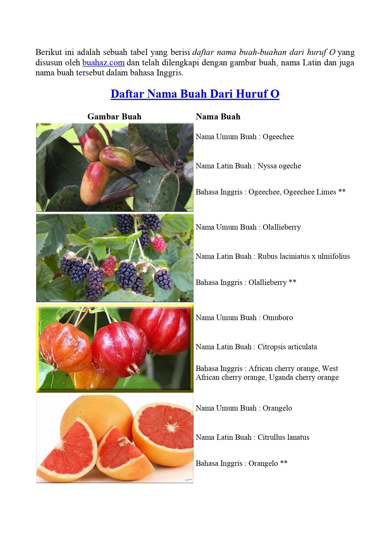 Buah apa yang namanya diawali huruf &lsquo;O&rsquo; (Bahasa Imdonesia)? - Quora