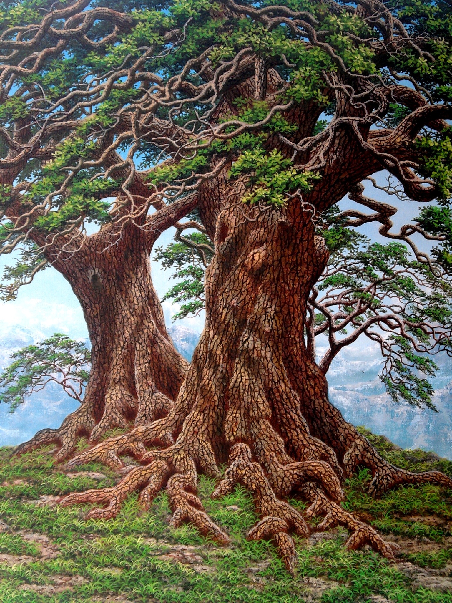 Lukisan Pohon | Naturalism Painting 2048_X_1536_jpg