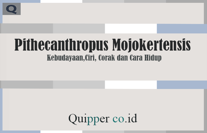 Pithecanthropus Mojokertensis - Kebudayaan, Ciri, Corak dan Cara Hidup