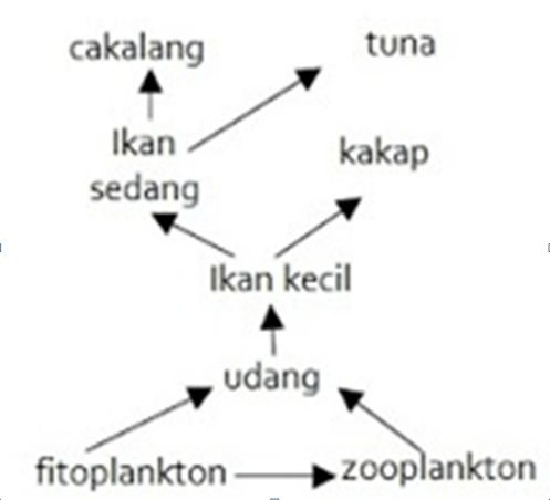 Contoh Soal IPA Materi Interaksi Makhluk Hidup dengan Lingkungan Kelas 7  SMP Kurikulum 2013 - Masharist