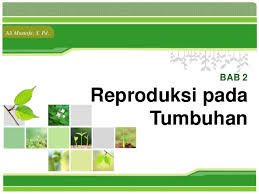 sistem reproduksi tumbuhan | Science - Quizizz