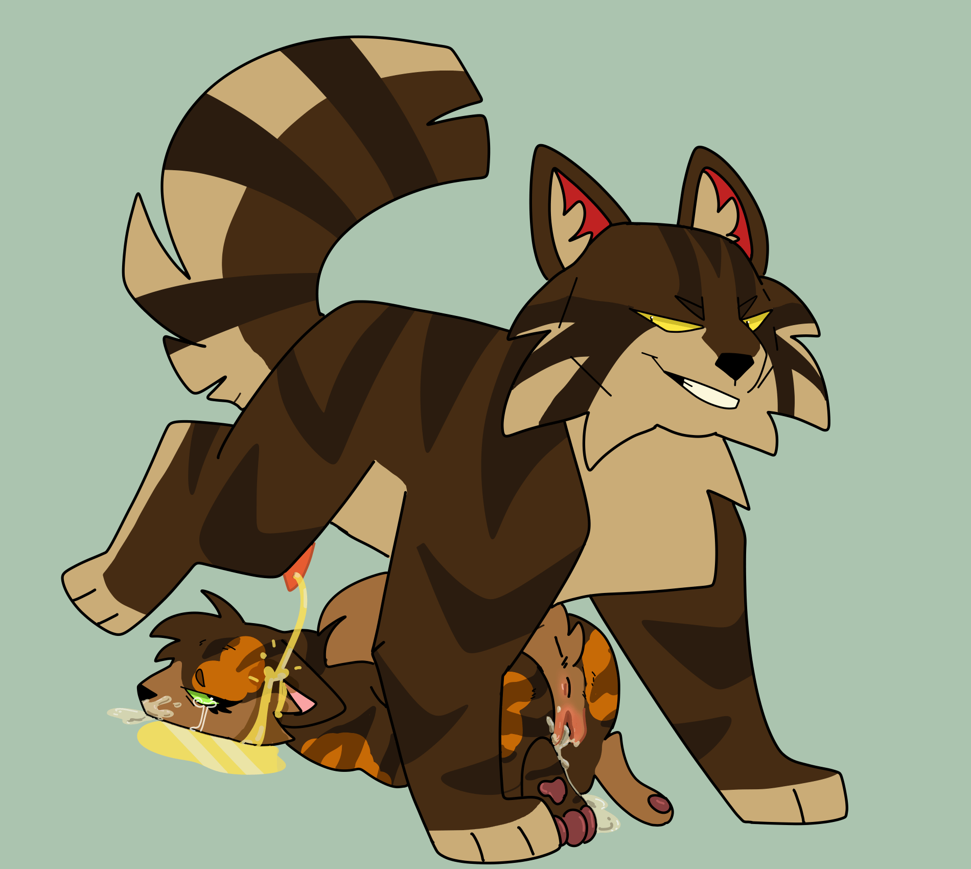 Warrior cats cover