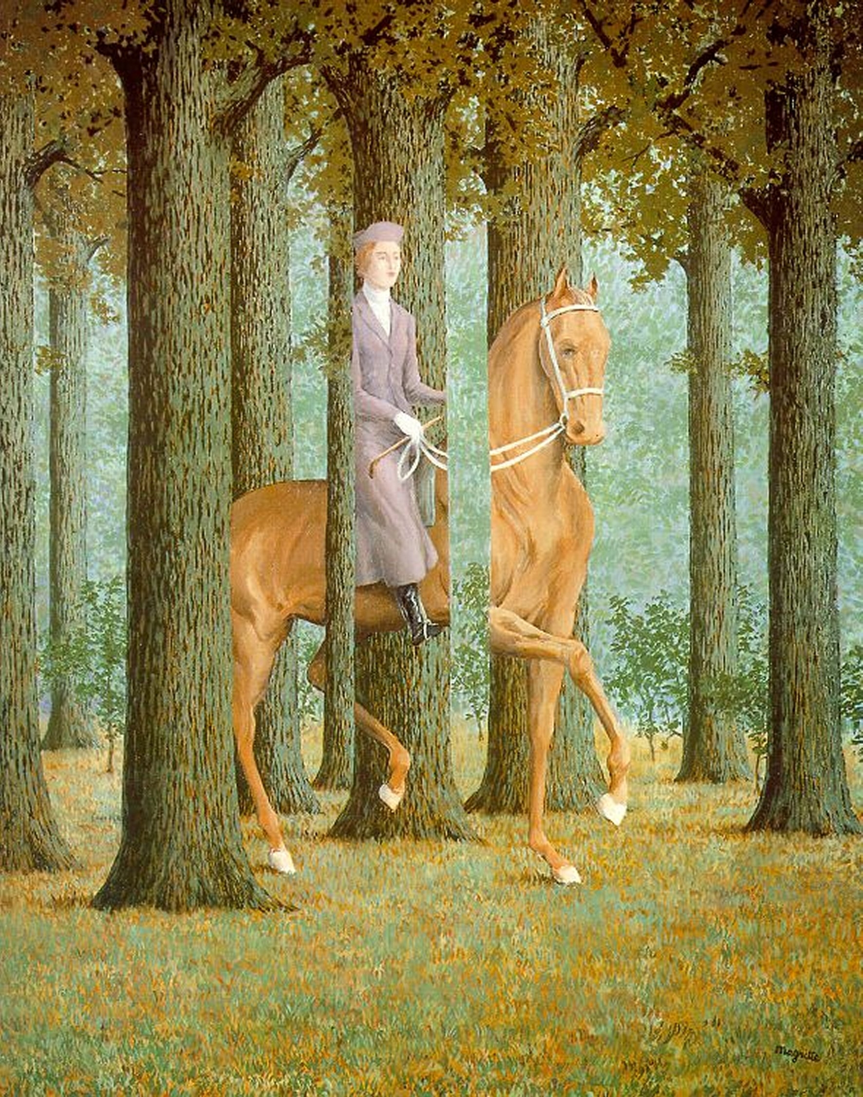 Surrealisme Rachedi Kamel