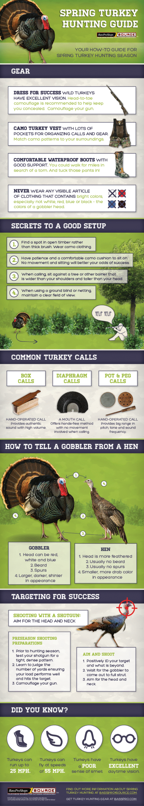 Spring Turkey Hunting Guide