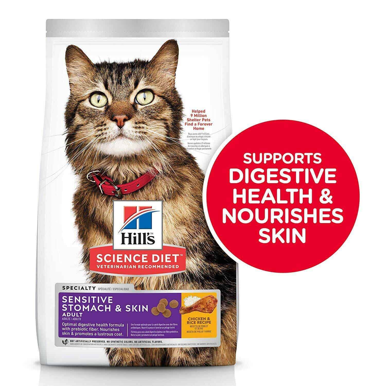 Low-Sodium Food for Senior Cats: A Guide to Heart-Healthy Nutrition