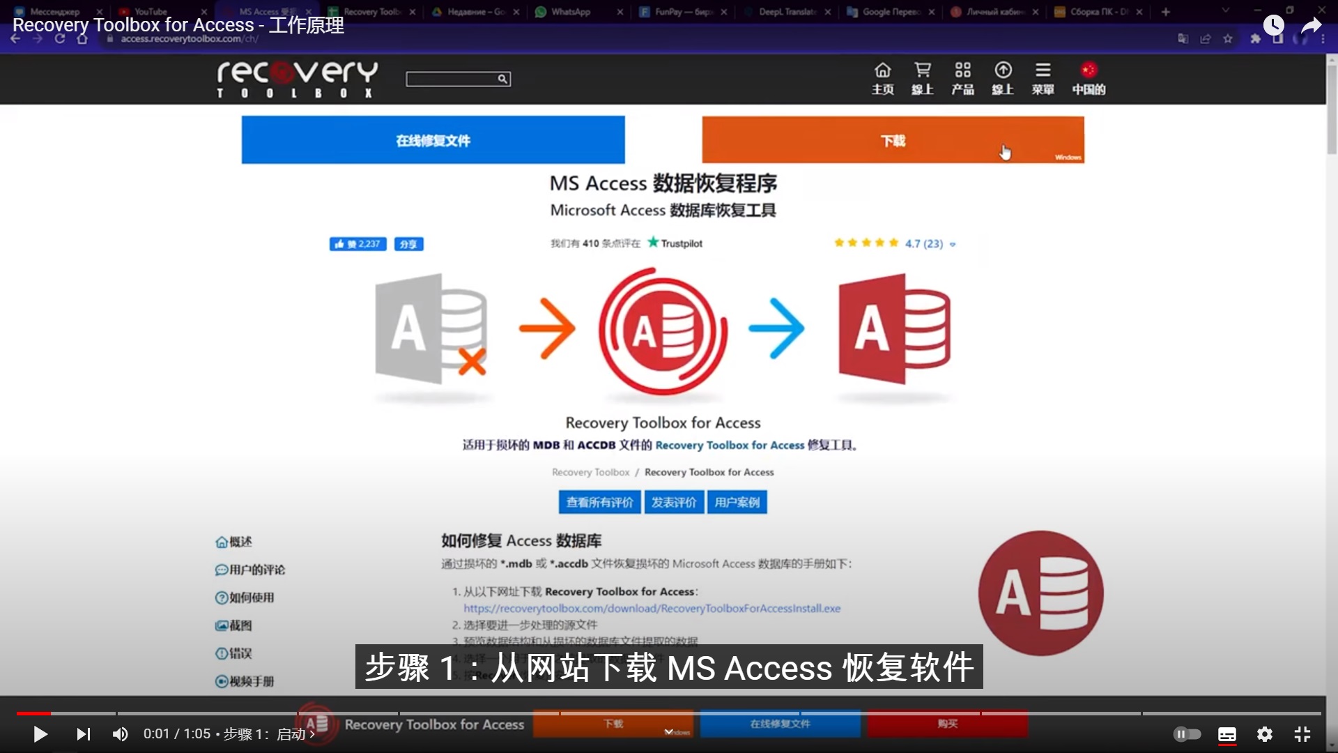 Microsoft access 代替
