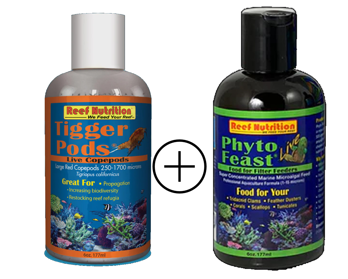 Live Phyto + Copepods COMBO Pack