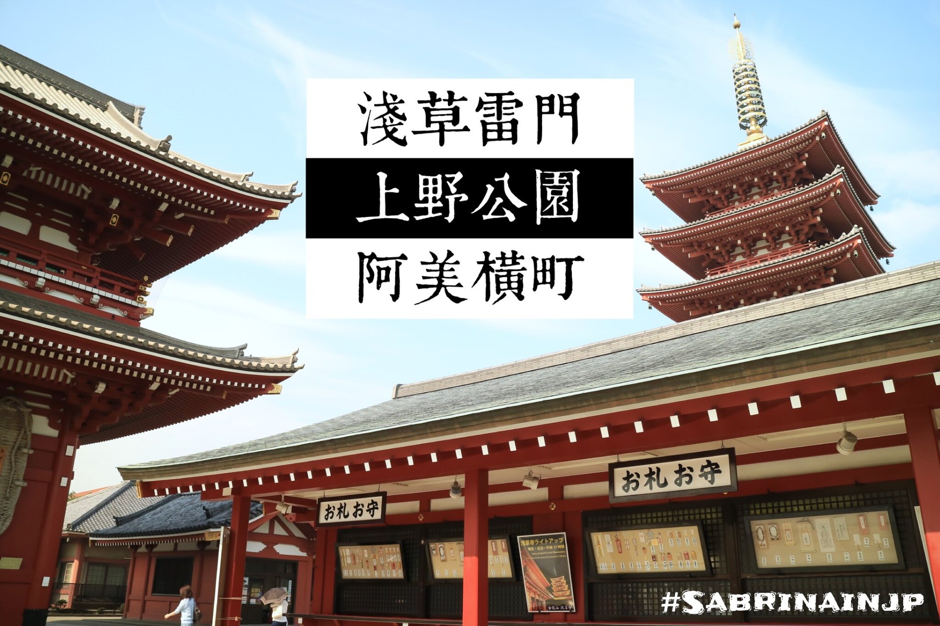 夏遊東京｜行程篇 Day 13 淺草雷門寺/仲間世通-上野公園-阿美橫町鐵火丼-酒酒井outlet-成田機場