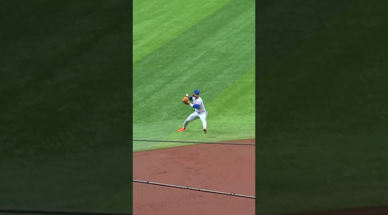 Francisco Lindor makes this play look EASY 🤩 #mets #mlb #baseball #sports #highlights #shorts #rays