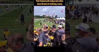 Fight at camp in the stands. #sports #steelers #pittsburghsteelers #trainingcamp #sportsnews
