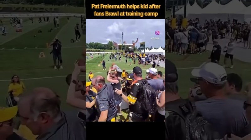 Fight at camp in the stands. #sports #steelers #pittsburghsteelers #trainingcamp #sportsnews
