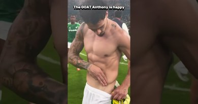 The Goat Anthony is happy after yesterday win #football #soccer #sports #laliga #anthony #realbetis