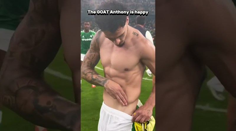 The Goat Anthony is happy after yesterday win #football #soccer #sports #laliga #anthony #realbetis