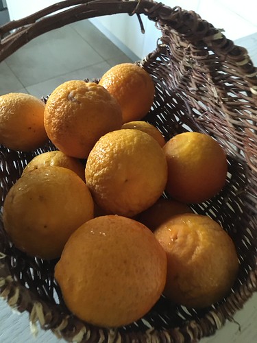 SmellyBlog: Seville Orange Marmalade