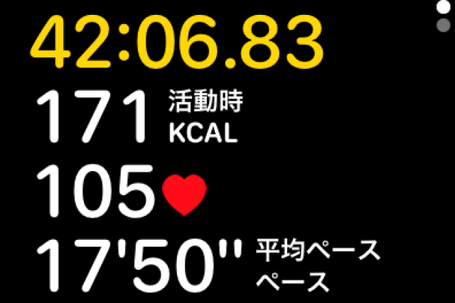 Apple Watch Walking workout