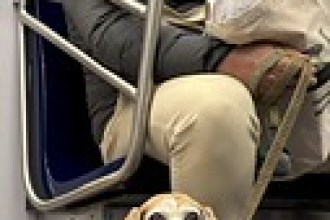 NY Subway 780