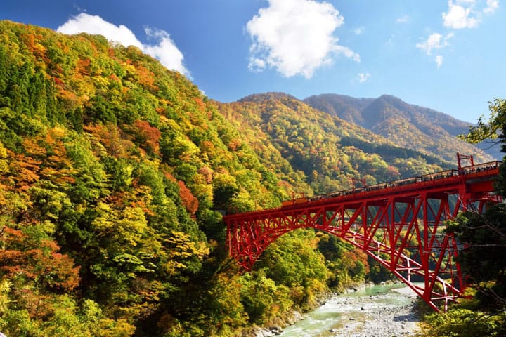 Berbagai Pemandangan Alam Indah Musim Gugur Di Jepang! | Matcha - Situs Wisata Jepang 480_X_720_jpg