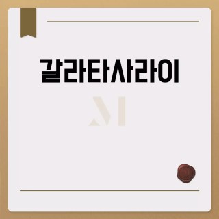 갈라타사라이 축구팀 소개