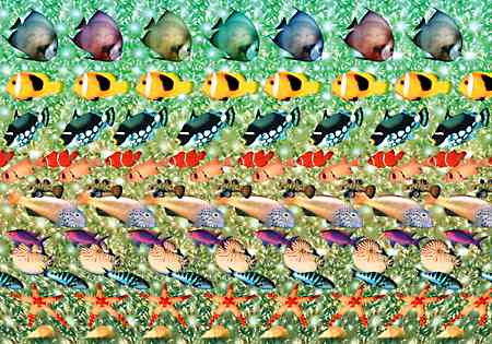 The Scam Of Magic Eyes Watching Laughing Dreaming