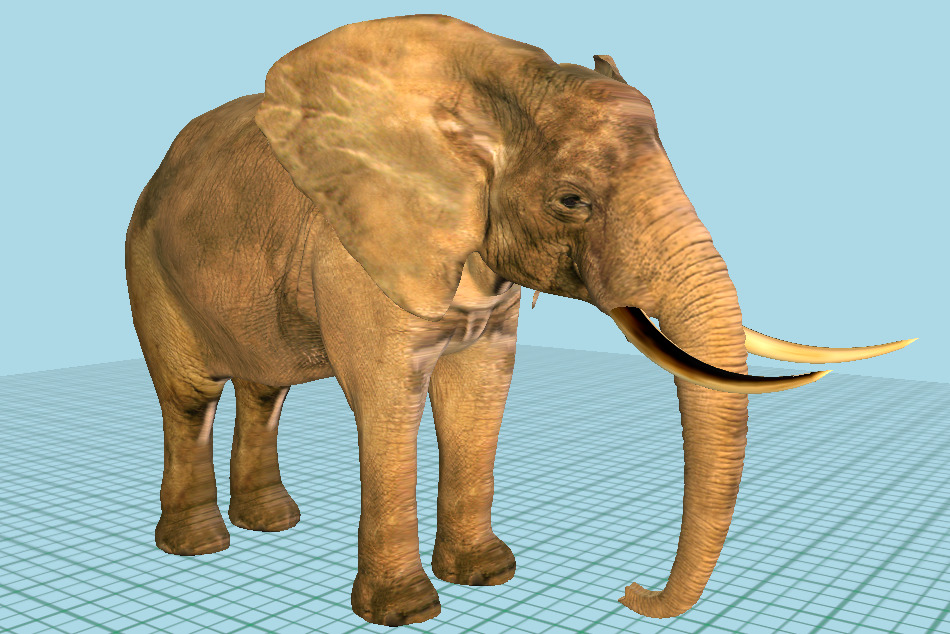 Elephant 3d Model