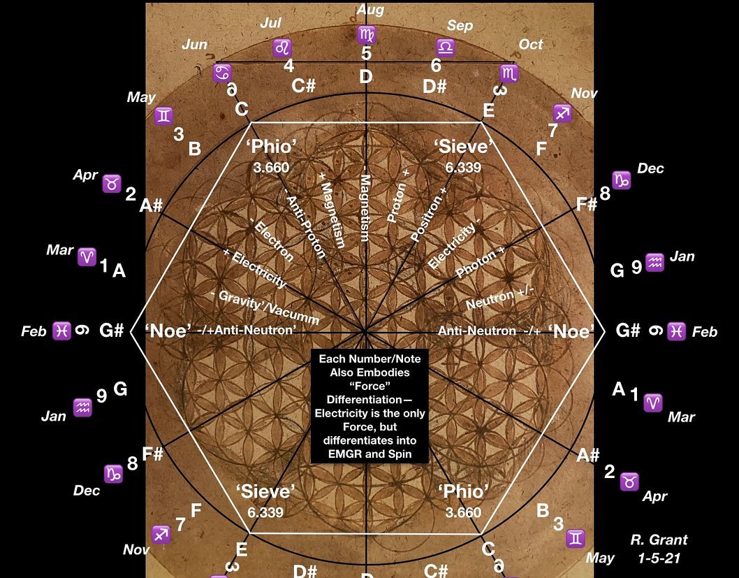 Flower of life davinci