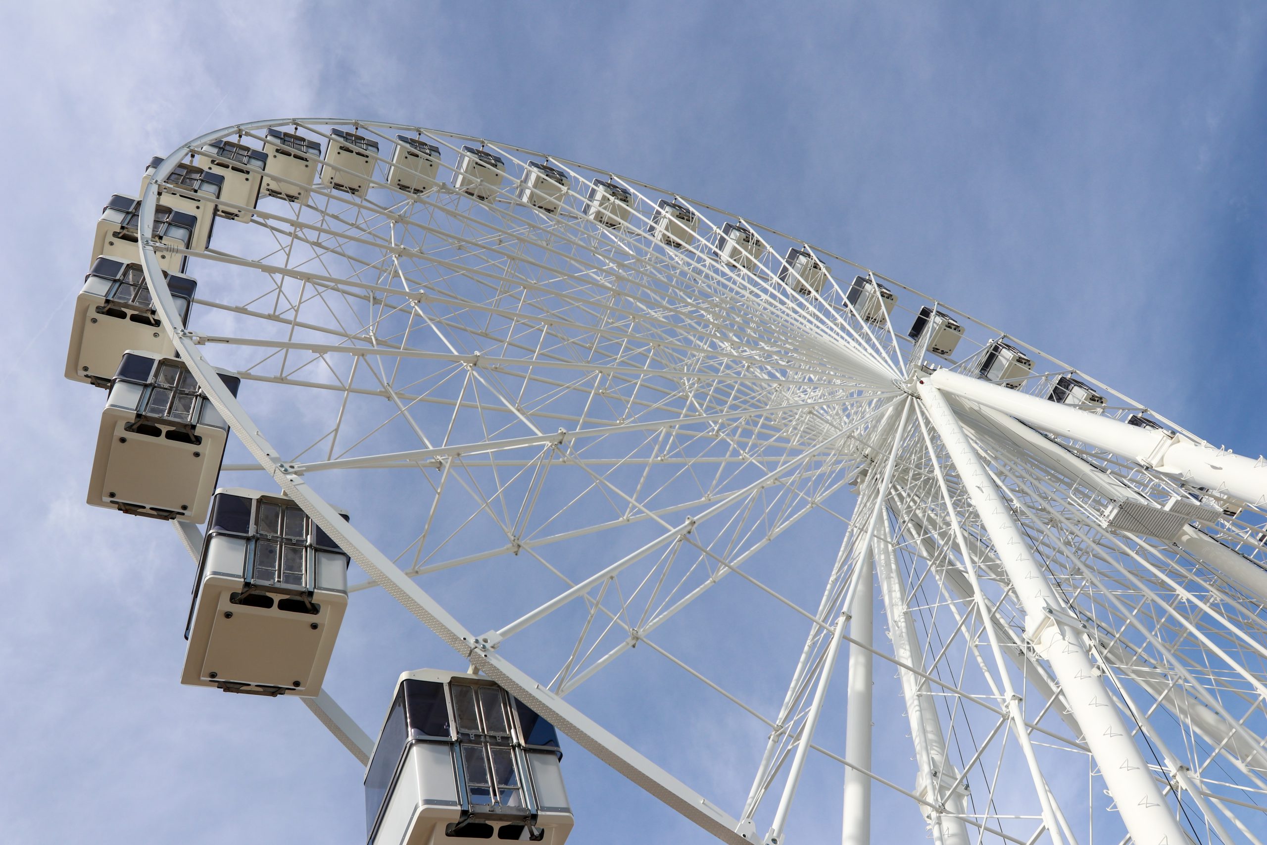 Ferris wheel for sale